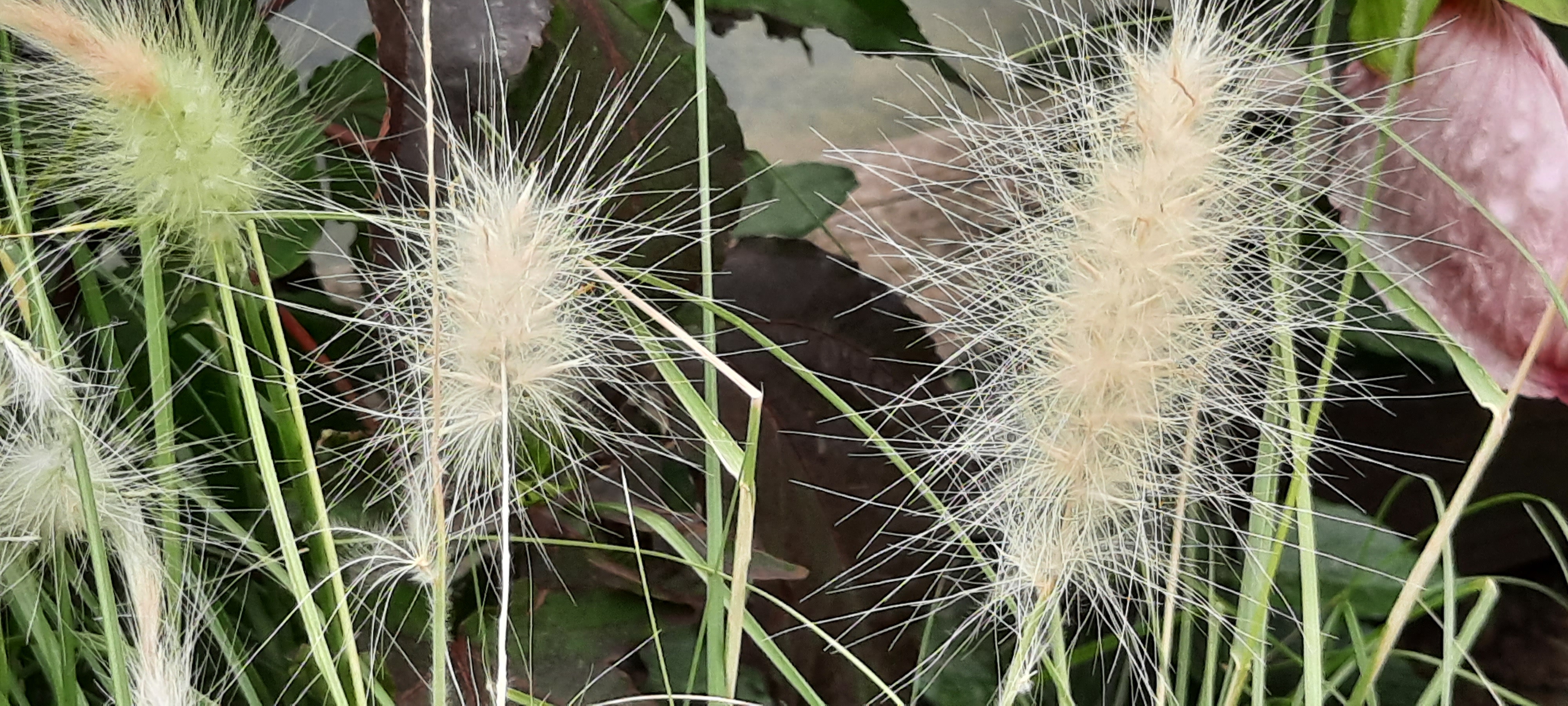 Photo n° 5 de l'avis de Follow.e fait le 28/07/2021 à 17:27