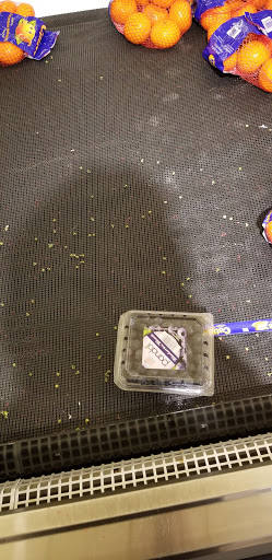 Grocery Store «Stop & Shop», reviews and photos, 420 White Plains Rd, Eastchester, NY 10709, USA