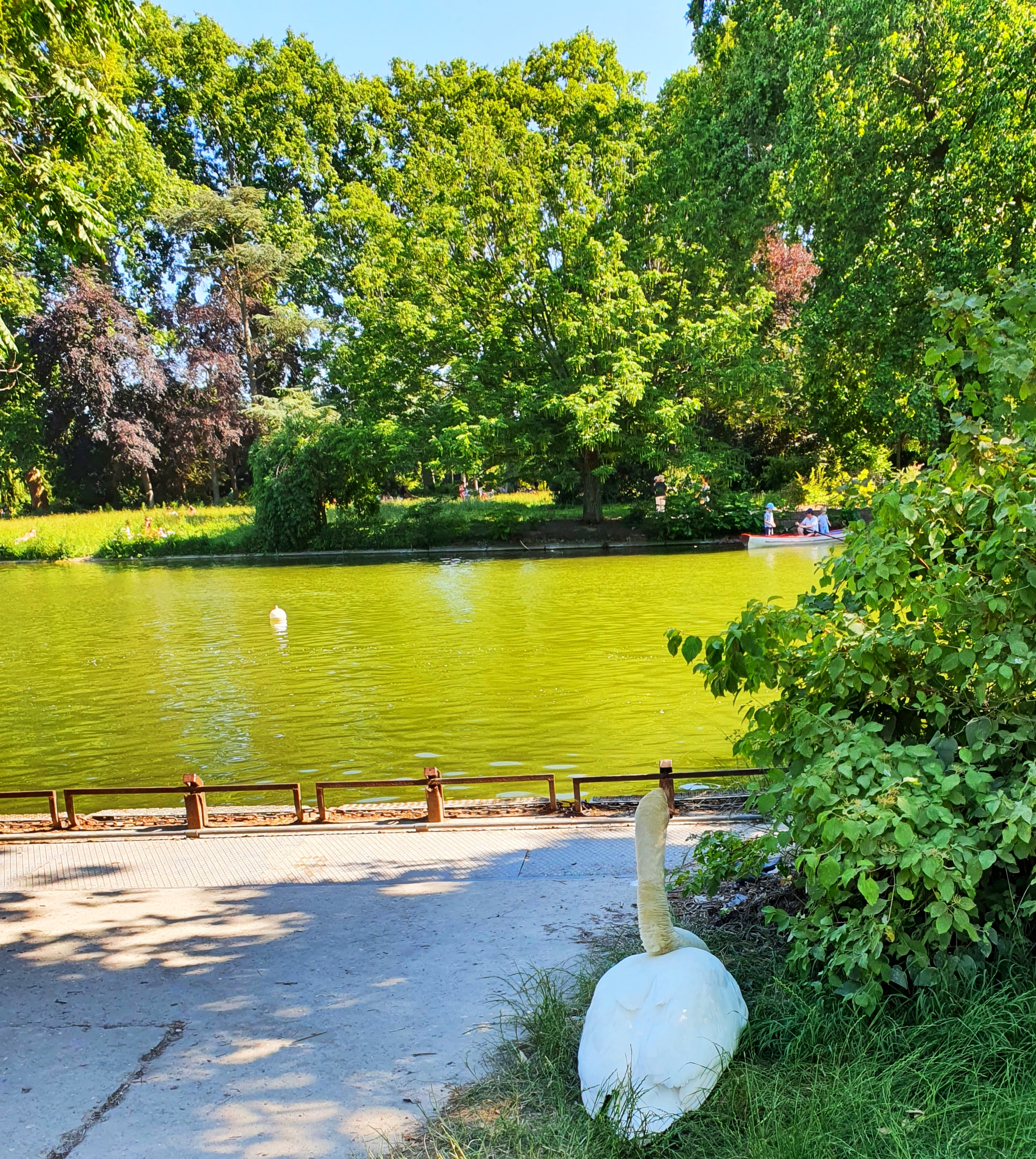 Photo n° 5 de l'avis de Elle. fait le 25/01/2022 à 10:51