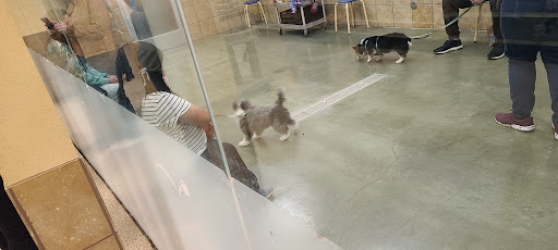 Pet Supply Store «PetSmart», reviews and photos, 15618 Whittwood Ln, Whittier, CA 90603, USA