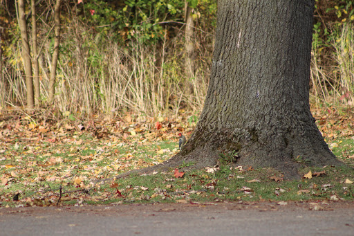 State Park «Lakeport State Park», reviews and photos, 7605 Lakeshore Rd, Lakeport, MI 48059, USA