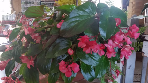 Florist «Kimrik Garden Center», reviews and photos, 1135 Beaver Valley Pike, Lancaster, PA 17602, USA