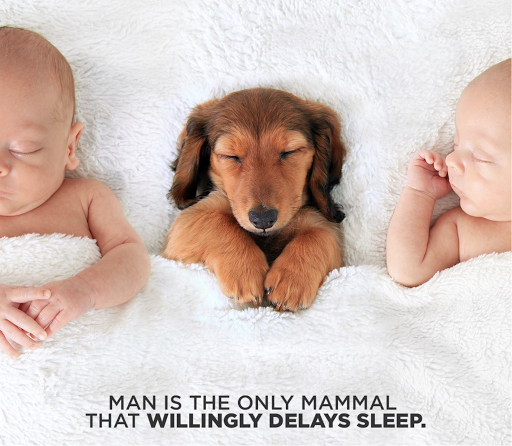 Mattress Store «Metro Mattress-Cortland», reviews and photos, 3906 NY-281, Cortland, NY 13045, USA