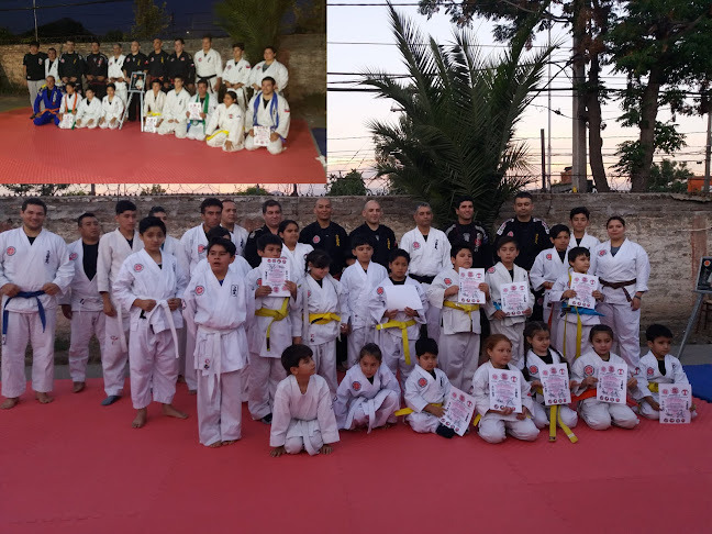 Opiniones de Escuela Karate Jutsu Ryu LosGuerrerosDeQtaNormal en Quinta Normal - Escuela