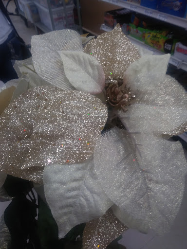 Craft Store «Michaels», reviews and photos, 628 W Hammer Ln, Stockton, CA 95210, USA