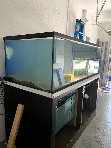 Tropical Fish Store «Hooked On Reefs», reviews and photos, 228 Hibiscus St #1, Jupiter, FL 33458, USA