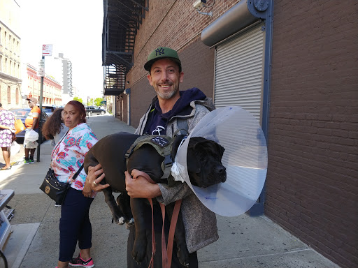 Pet Supply Store «Petland Discounts - Flatbush Ave.», reviews and photos, 968 Flatbush Ave, Brooklyn, NY 11226, USA