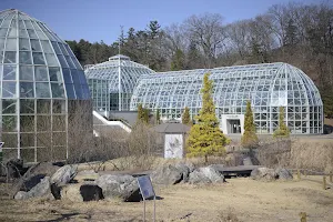 Korea National Arboretum image