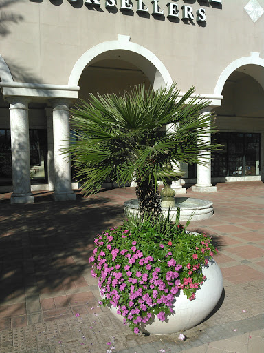 Book Store «Barnes & Noble», reviews and photos, 1758 S Val Vista Dr, Mesa, AZ 85204, USA