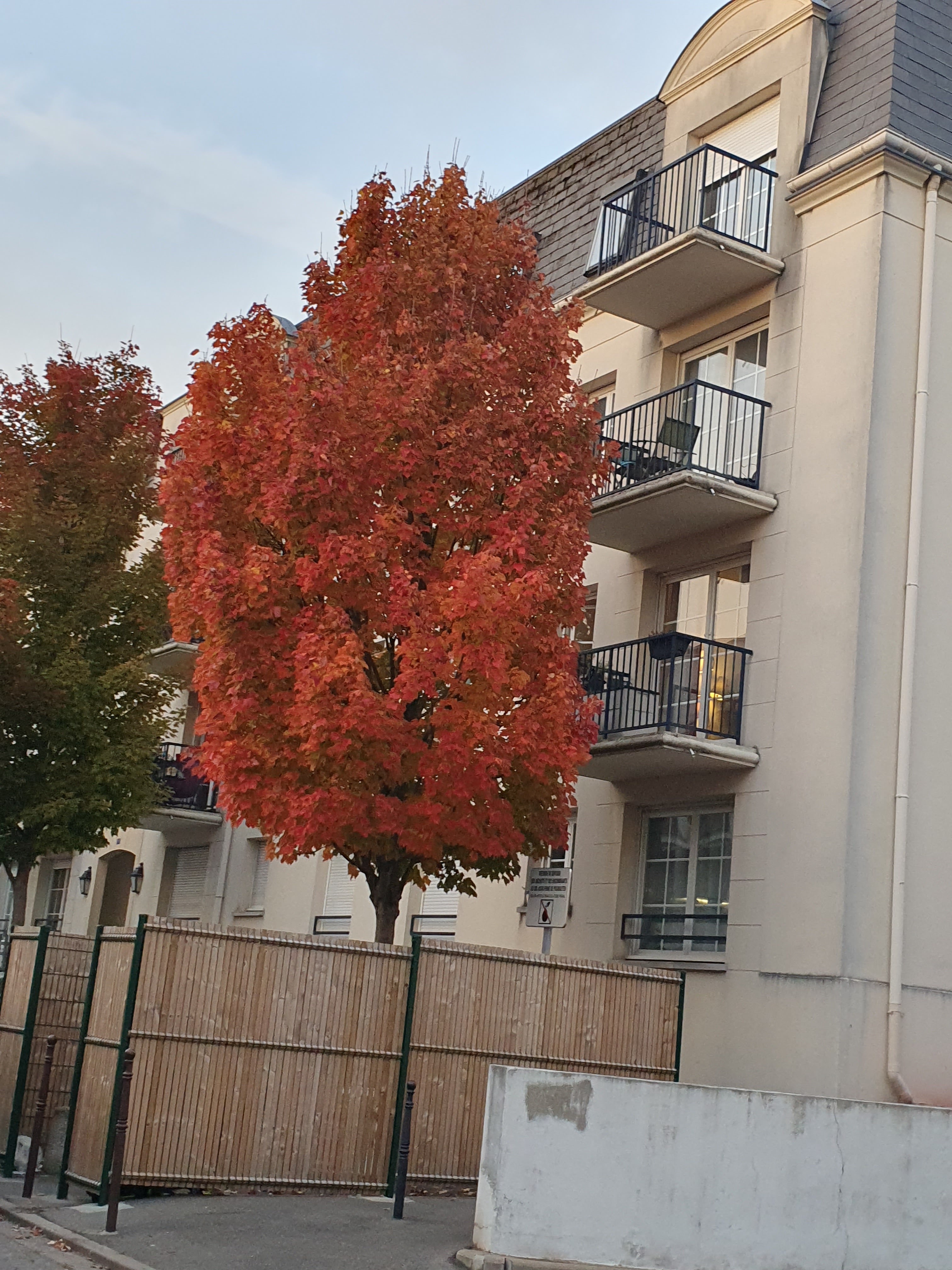 Photo n° 1 de l'avis de Fairouzette.A fait le 18/10/2021 à 12:44