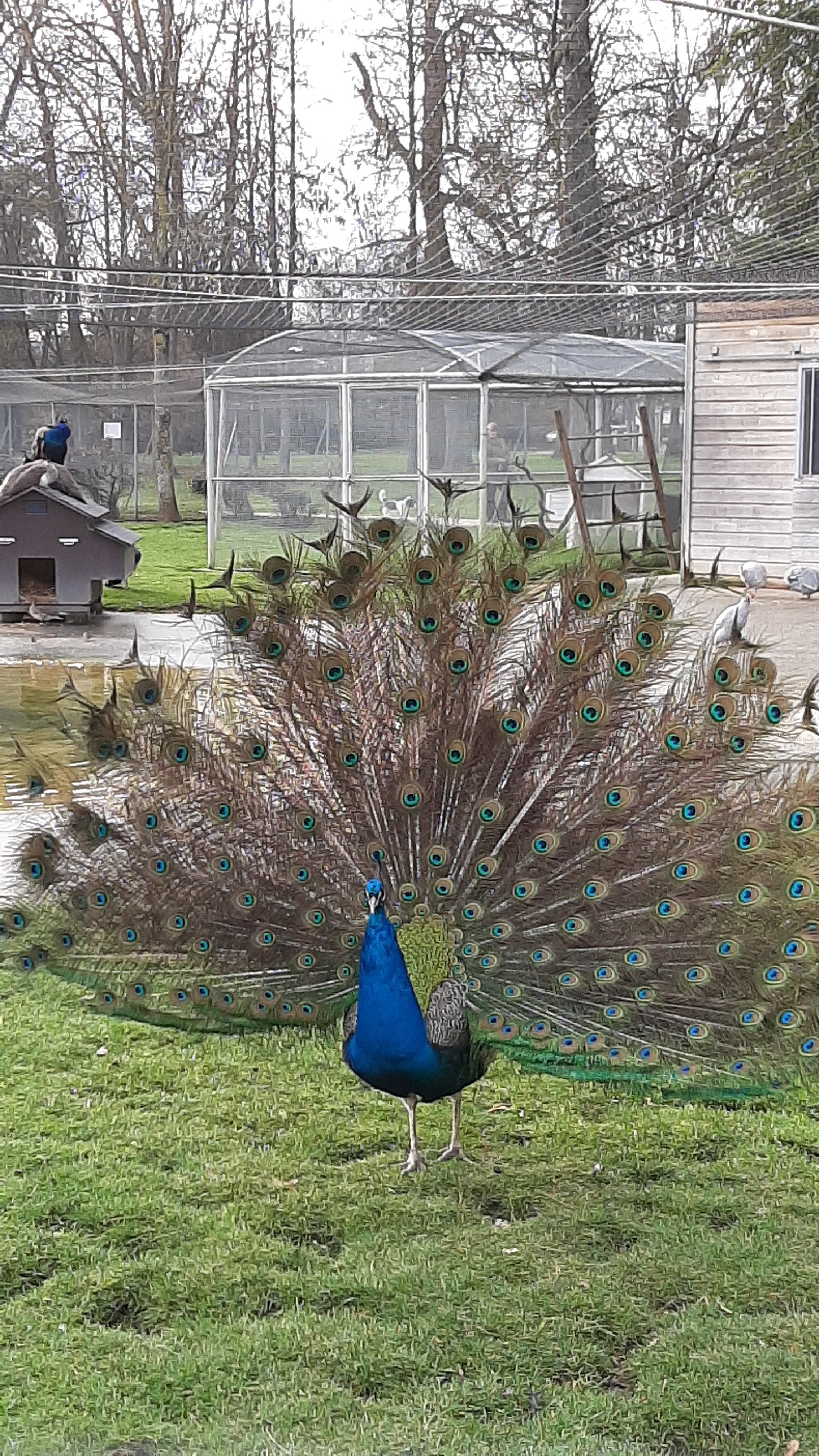 Photo n° 1 de l'avis de s... fait le 05/03/2020 à 17:49