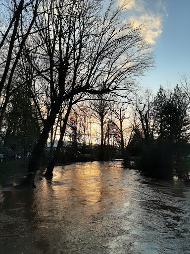 Park «Lynden City Park», reviews and photos