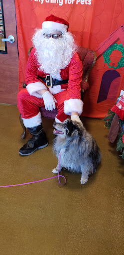 Pet Supply Store «PetSmart», reviews and photos, 2356 W State Rte 89A, Sedona, AZ 86336, USA