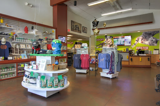 Animal Protection Organization «Charleston Animal Society», reviews and photos