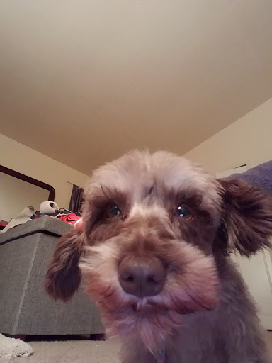 Pet Supply Store «Petco Animal Supplies», reviews and photos, 1963 S Hurstbourne Pkwy, Louisville, KY 40220, USA