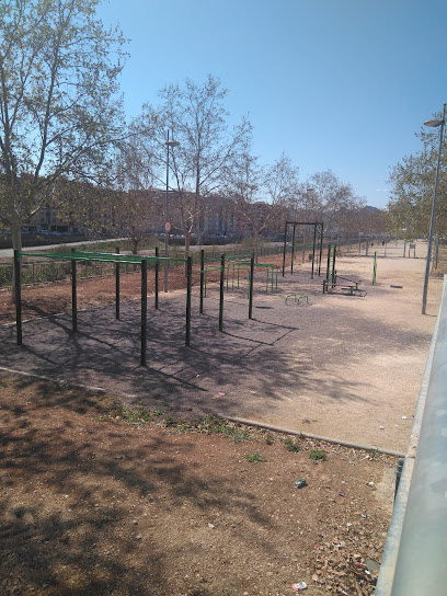 Parque de Calistenia Sagunto - Carrer del Catedràtic Josep Lluís Blasco Estellés, 3E, 46500 Sagunt, Valencia, Spain