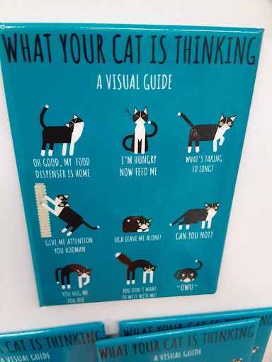 Variety Store «Five Below», reviews and photos, 118 Shawan Rd M1, Cockeysville, MD 21030, USA