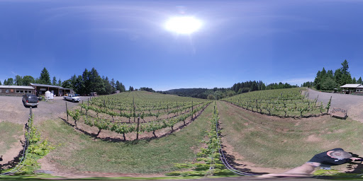 Winery «Kramer Vineyards», reviews and photos, 26830 NW Olson Rd, Gaston, OR 97119, USA