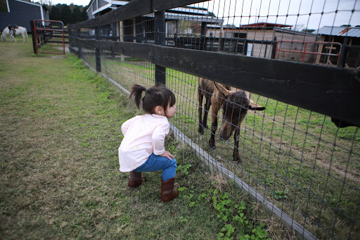 Wedding Venue «Rancho Alegre Farm», reviews and photos, 2225 Givens Rd, Dacula, GA 30019, USA