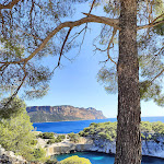 Photo n° 9 de l'avis de Nicolas.a fait le 23/09/2023 à 15:49 pour Parc national des Calanques à Marseille