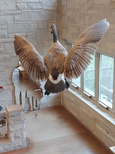 Recreation Center «Little Red Schoolhouse Nature Center», reviews and photos, 9800 Willow Springs Rd, Willow Springs, IL 60480, USA