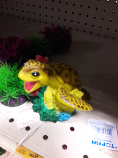 Pet Supply Store «PetSmart», reviews and photos, 2920 Little Rd, Trinity, FL 34655, USA