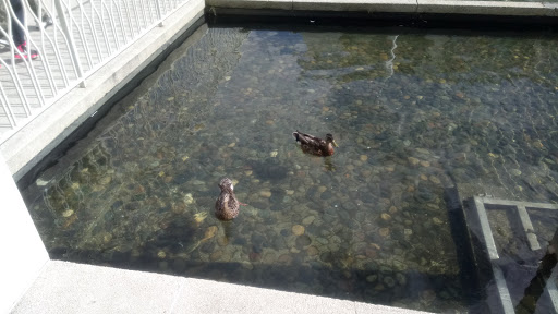 Imax Theater «PACCAR IMAX Theater», reviews and photos, 200 2nd Ave N, Seattle, WA 98109, USA