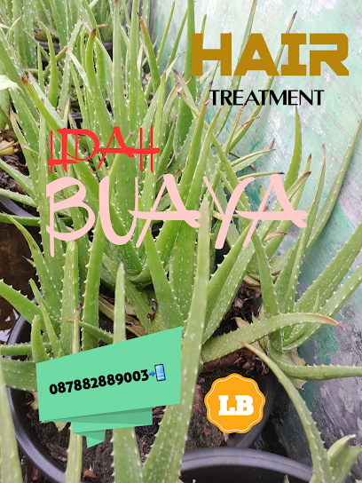 Hair Treatment Lidah Buaya