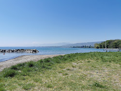 Photo de Allaman beach - endroit populaire parmi les connaisseurs de la détente
