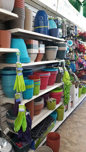 Dollar Store «Dollar Tree», reviews and photos, 846 E Valley Blvd, Alhambra, CA 91801, USA