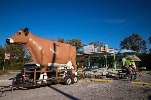 Chunky Monkey Ice Cream Shop