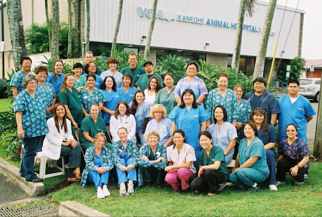 Reviews of VCA Kaneohe Animal Hospital in Honolulu - Veterinarian