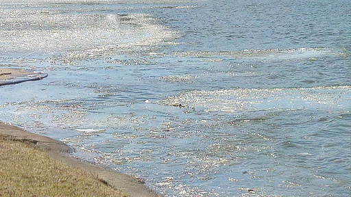 Golf Course «Lake Park Golf Course & Marina», reviews and photos, 1015 Howard Ave, Des Plaines, IL 60018, USA