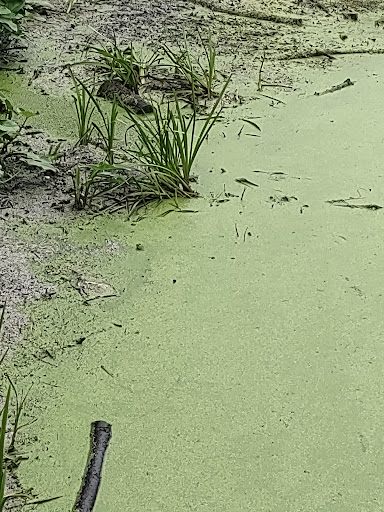 Campground «Lorraine Park Campground», reviews and photos, 133 Jenkins Rd, Andover, MA 01810, USA