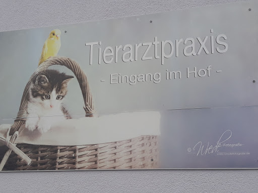 Anne Gruhne unter Schwarzheide, Brandenburg