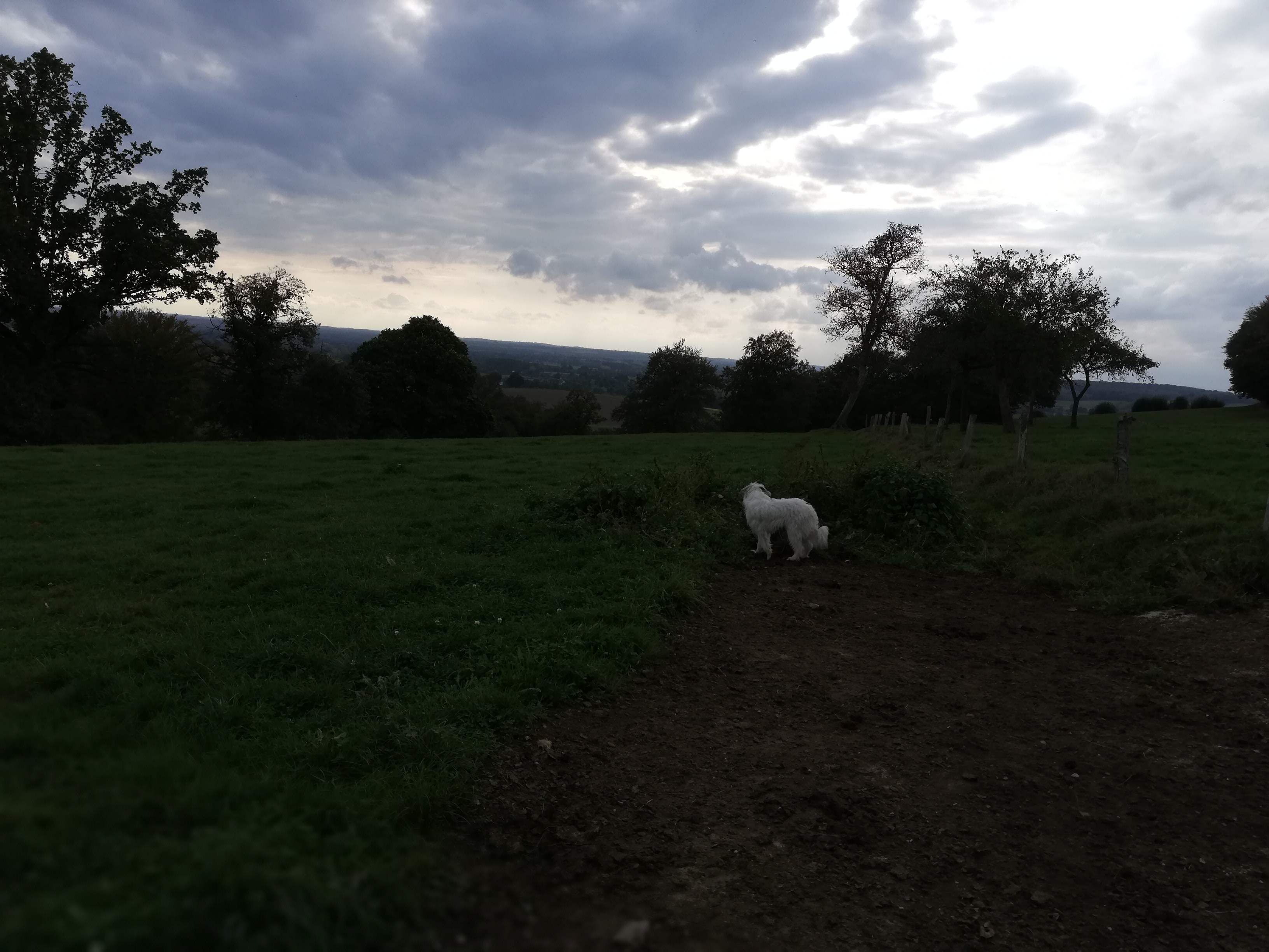 Photo n° 1 de l'avis de Rialland.o fait le 14/10/2018 à 21:12