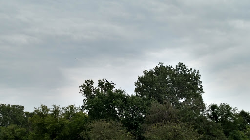 Public Golf Course «Green Oaks Golf Course», reviews and photos, 1775 E Clark Rd, Ypsilanti, MI 48198, USA