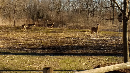 Nature Preserve «Lincoln Marsh», reviews and photos, Harrison Ave & Pierce Ave, Wheaton, IL 60187, USA