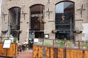 Amicus image