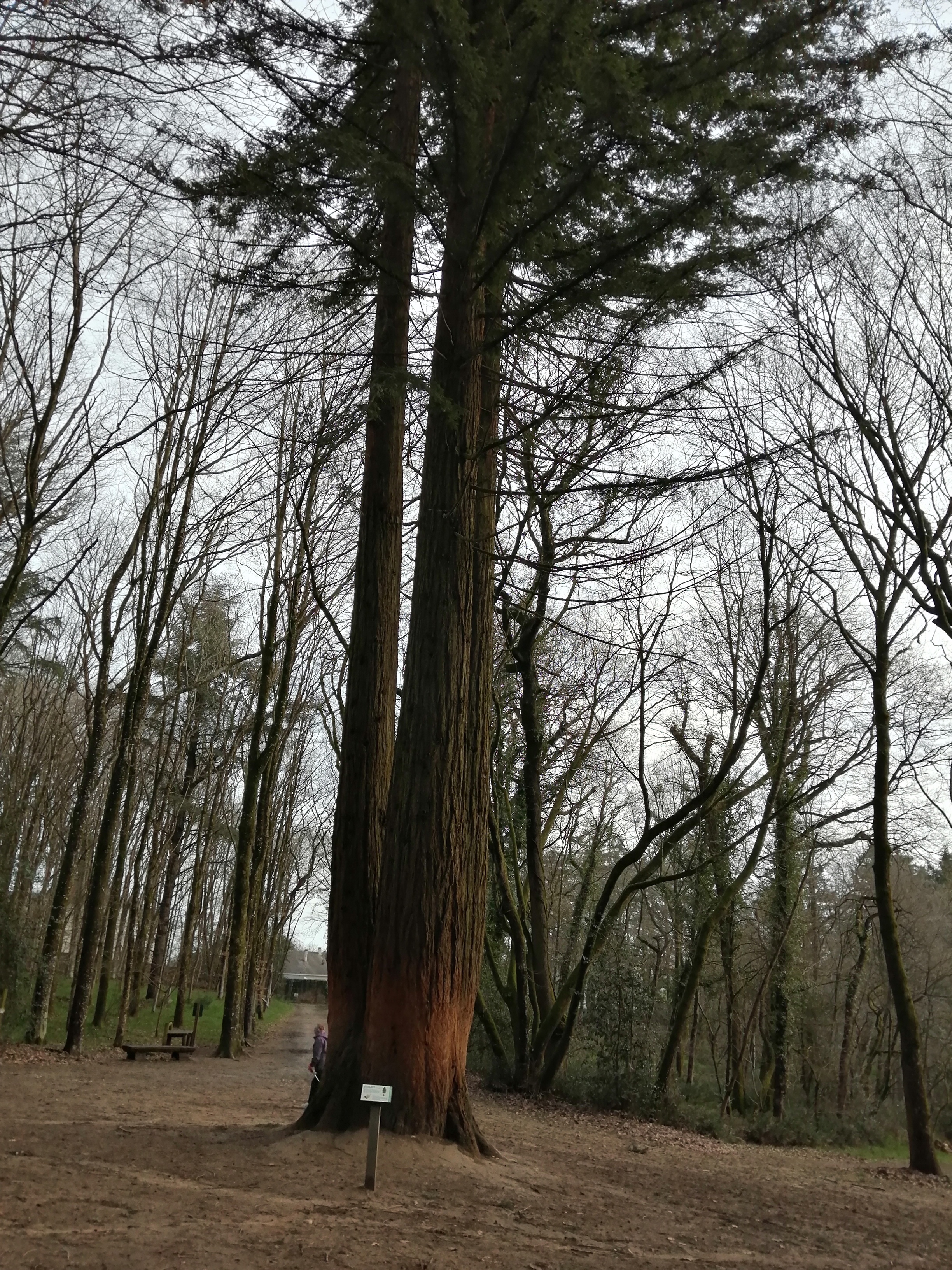 Photo n° 2 de l'avis de laurent.a fait le 17/03/2023 à 04:51