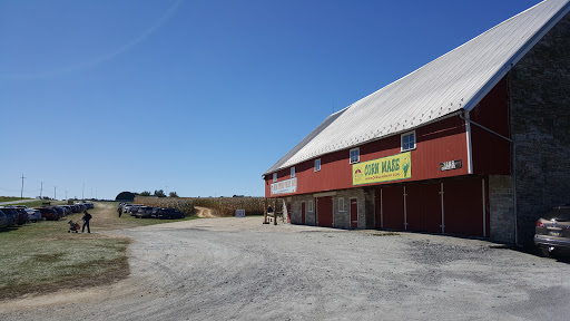 Tourist Attraction «Oregon Dairy Corn Maze», reviews and photos, 1289 Creek Rd, Lititz, PA 17543, USA