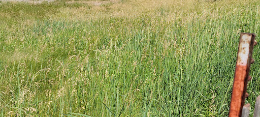 Public Golf Course «Apple Valley Golf Course», reviews and photos, 8661 140th St W, Apple Valley, MN 55124, USA