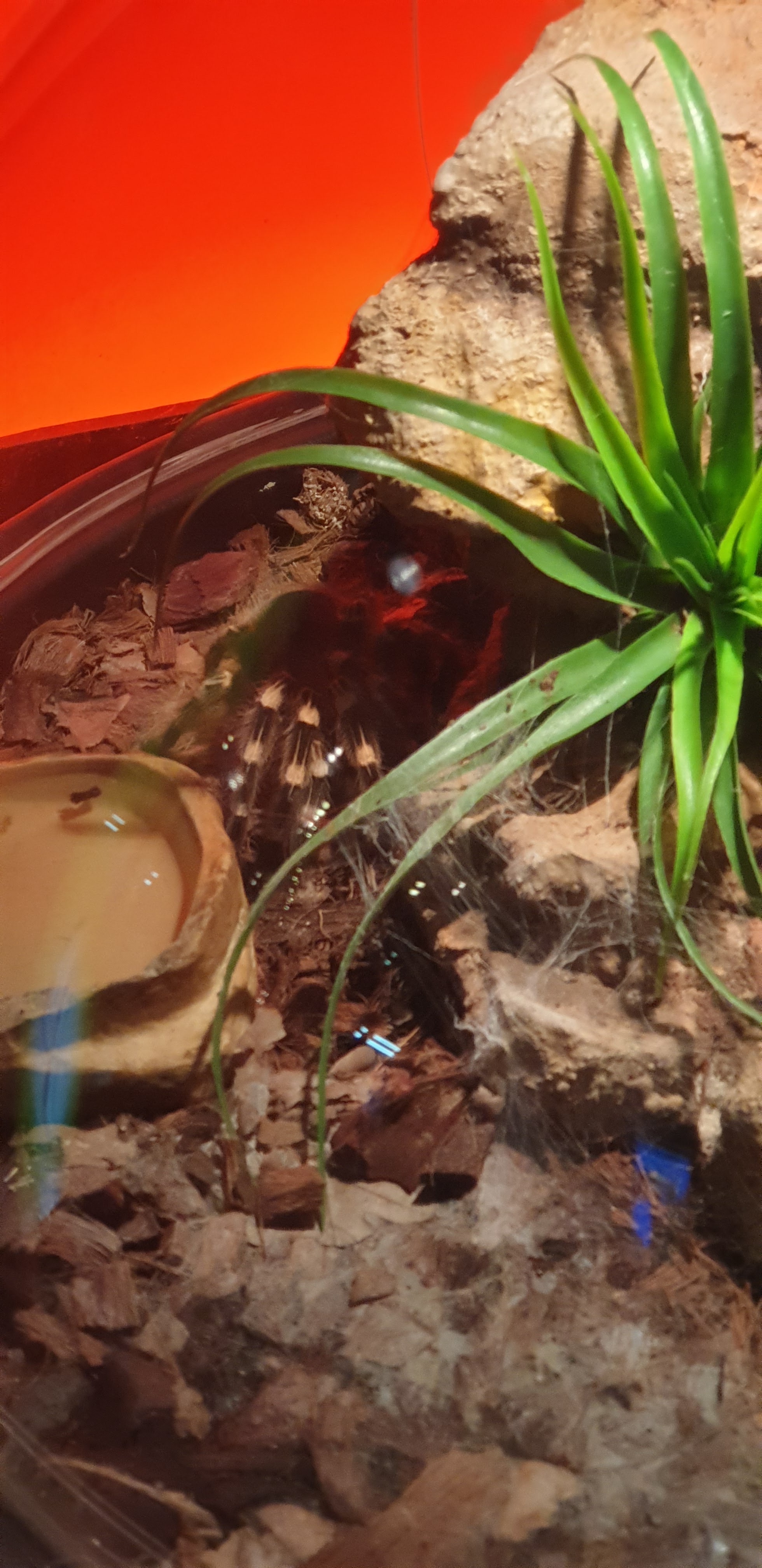 Photo n° 22 de l'avis de Hugo.g fait le 28/06/2019 à 06:35