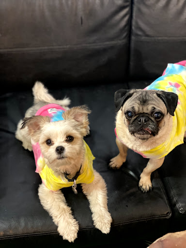 Pet Supply Store «The Green Spot», reviews and photos, 1110 S 71st St, Omaha, NE 68106, USA