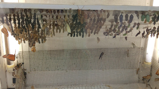 Zoo «Bronx Zoo», reviews and photos, 2300 Southern Blvd, Bronx, NY 10460, USA