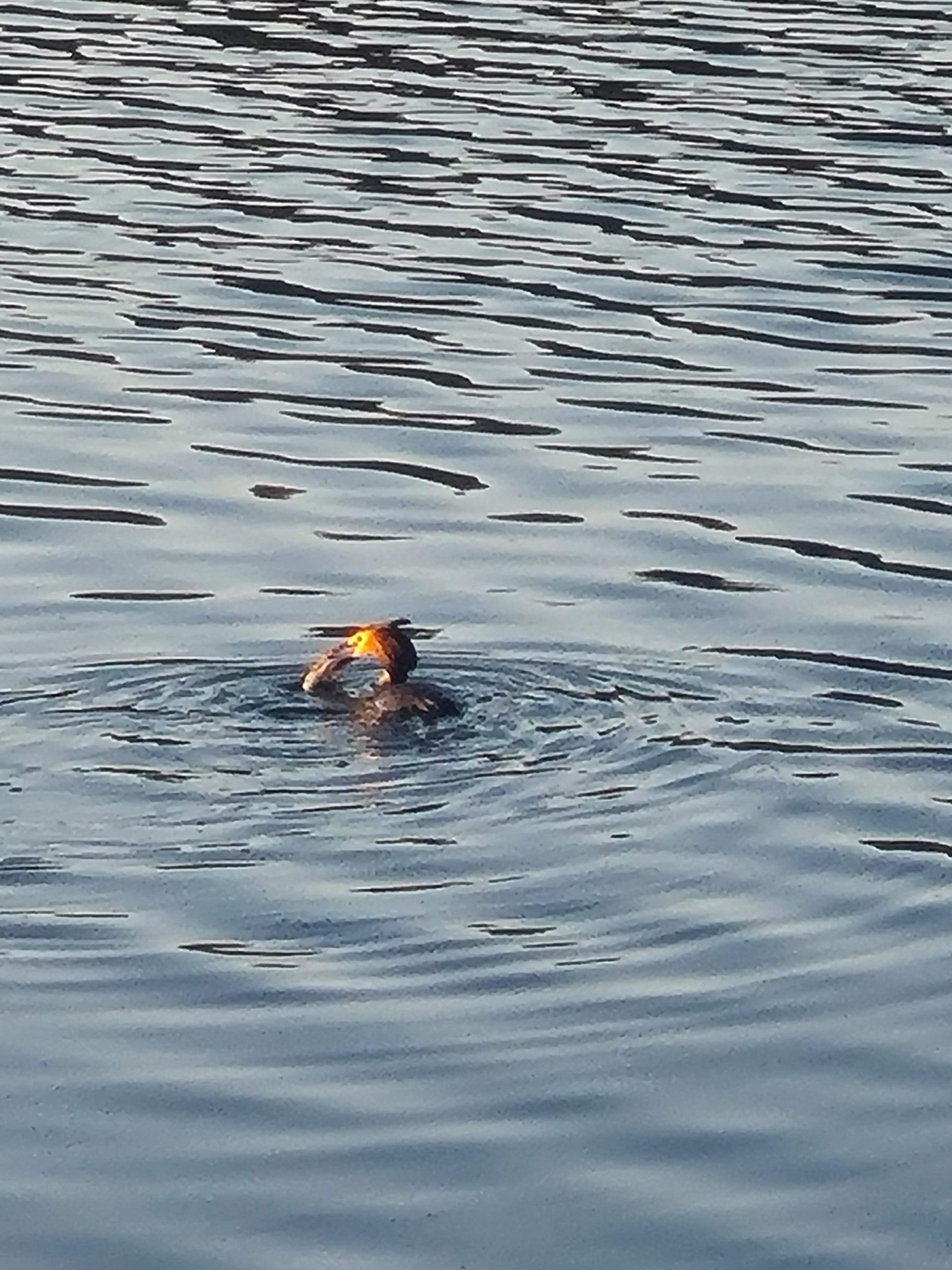 Photo n° 1 de l'avis de David.u fait le 27/04/2022 à 14:27