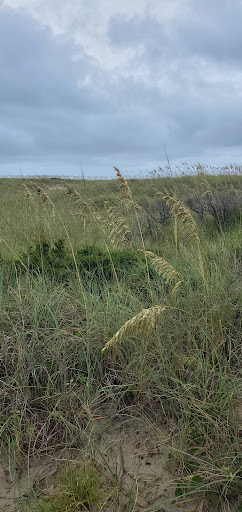 Museum «Graveyard of the Atlantic Museum», reviews and photos, 59200 Museum Dr, Hatteras, NC 27943, USA
