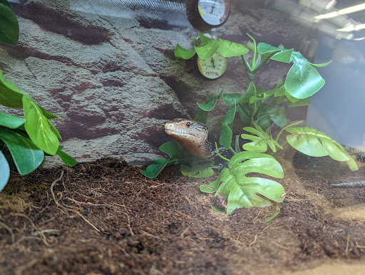 Pet Supply Store «Petco Animal Supplies», reviews and photos, 22000 Dulles Retail Plaza #110, Sterling, VA 20166, USA