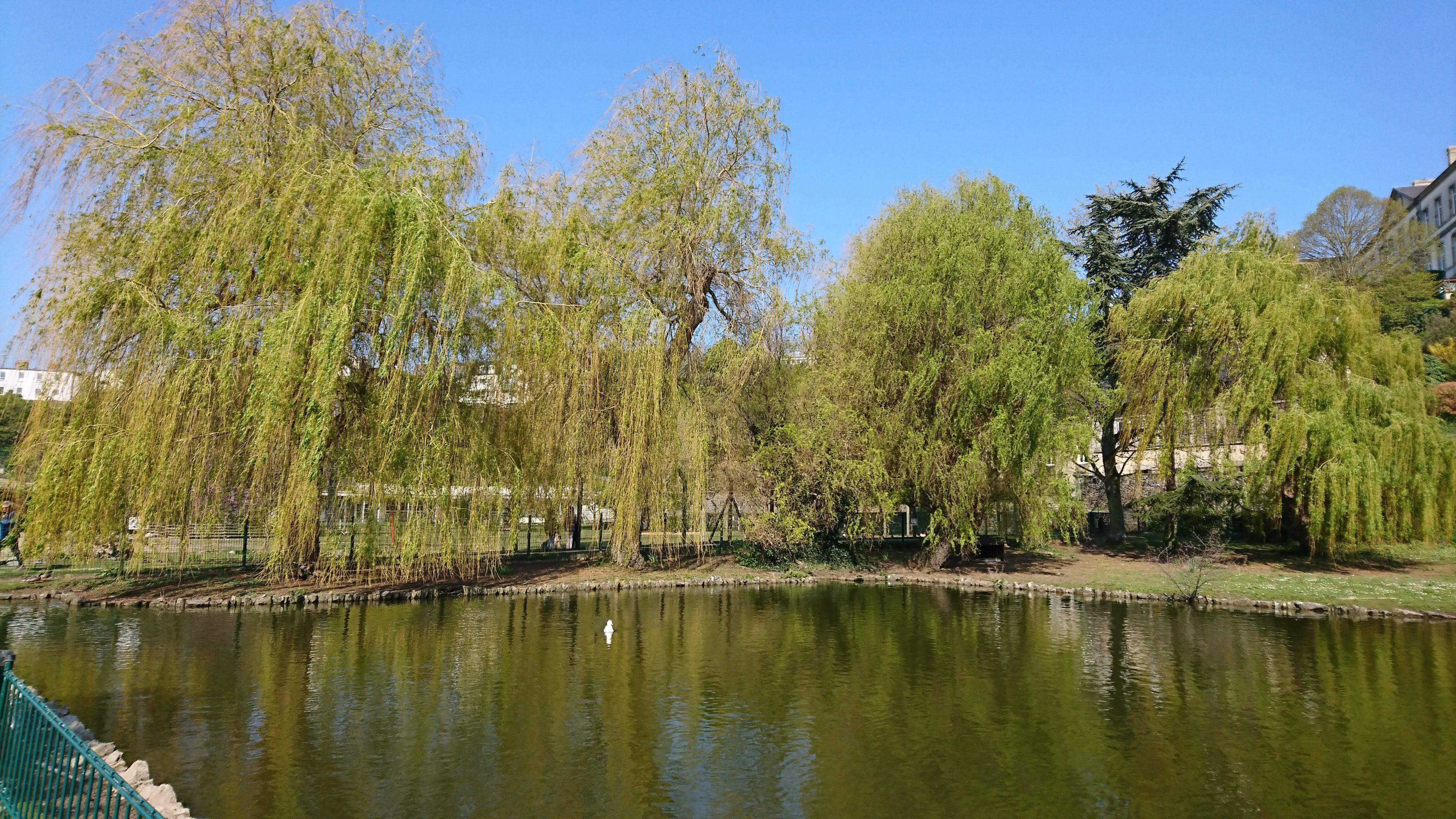 Photo n° 1 de l'avis de Sabrina.e fait le 13/04/2019 à 12:08