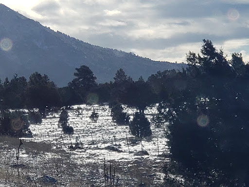 Truck Stop «TA Kingman», reviews and photos, 946 W Beale St, Kingman, AZ 86401, USA